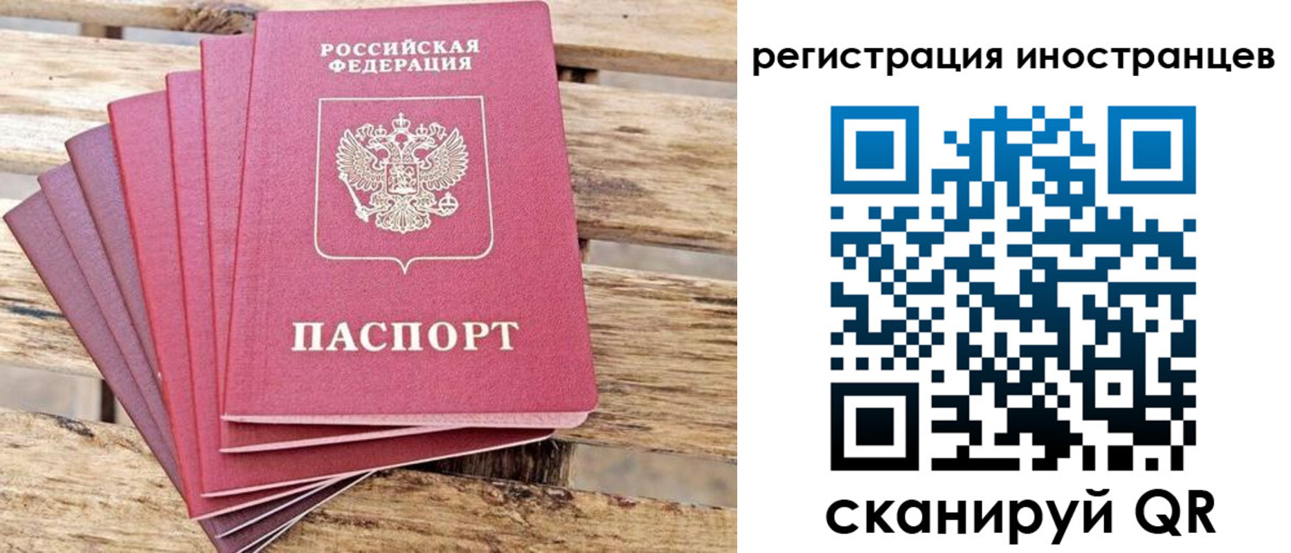 временная прописка в Волосово